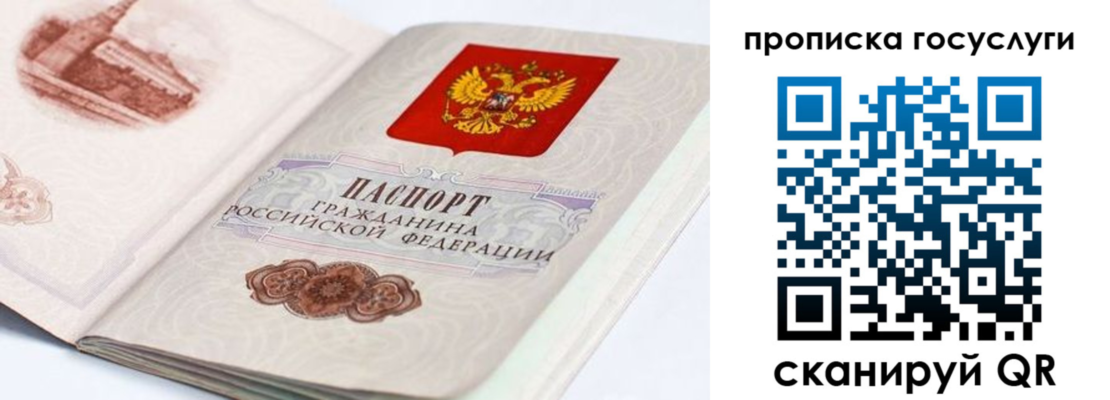прописка гарантия в Евпатории